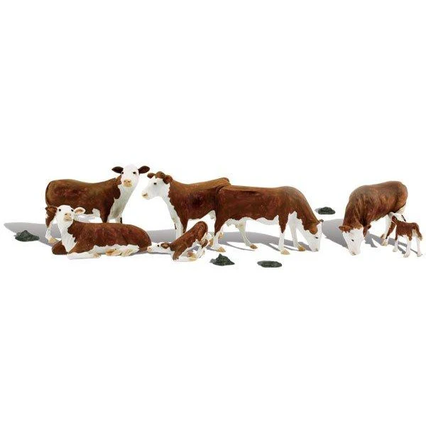 A1843 HO Hereford Cows