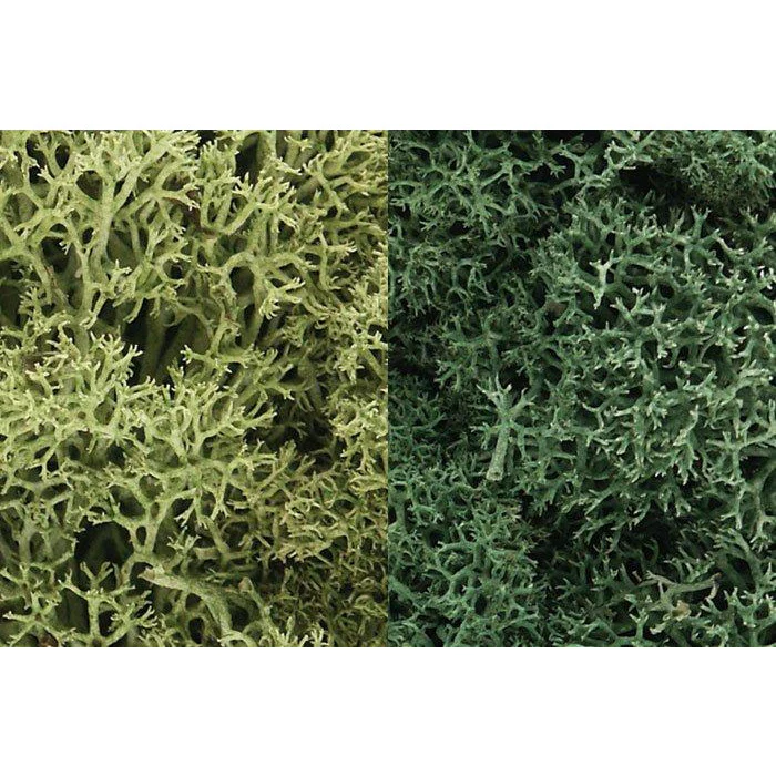 67 Lichen Bag, Light Green Mix/165 cu. in.