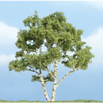 TR1601 Premium Birch Tree, 4"