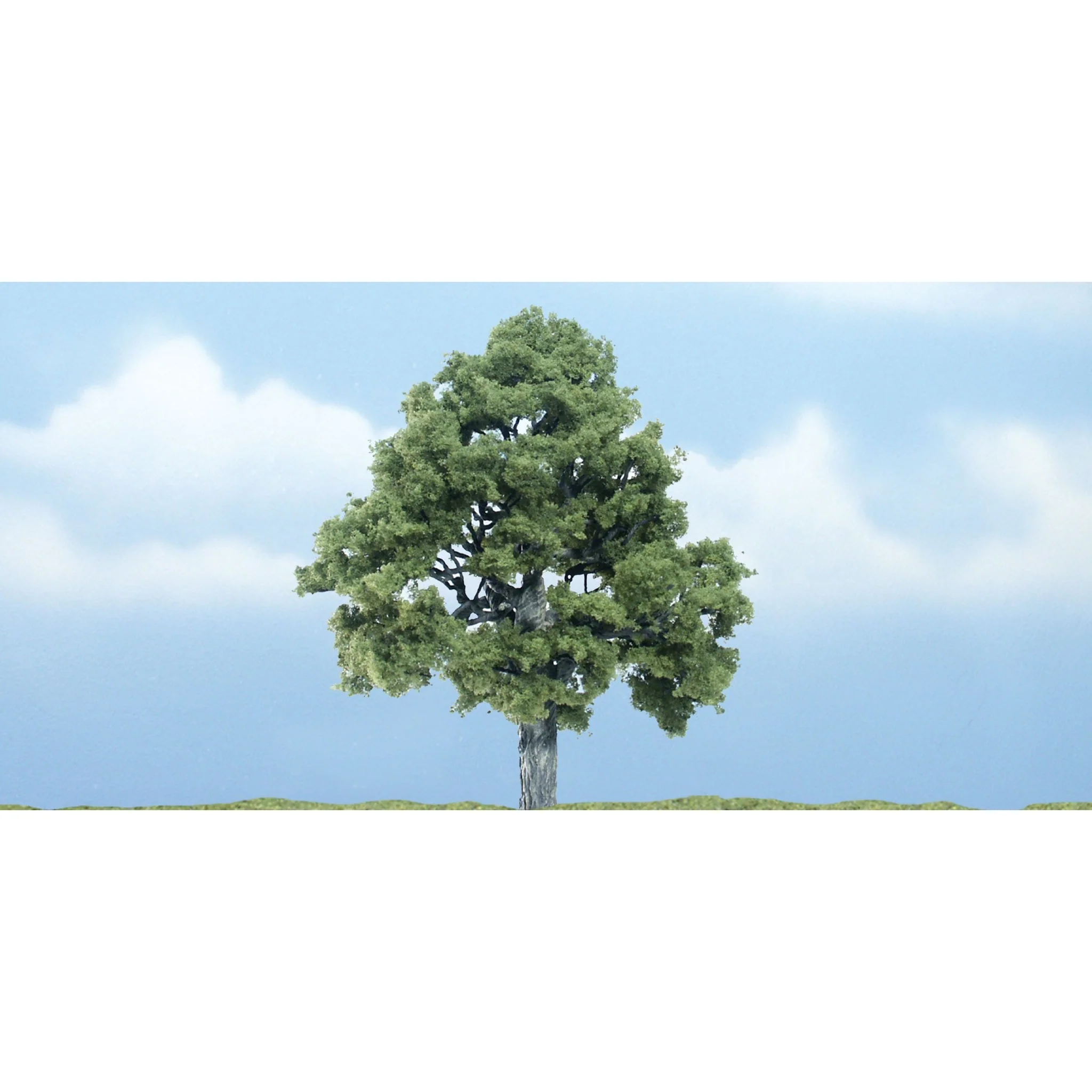 TR1615 Premium Beech Tree, 4"