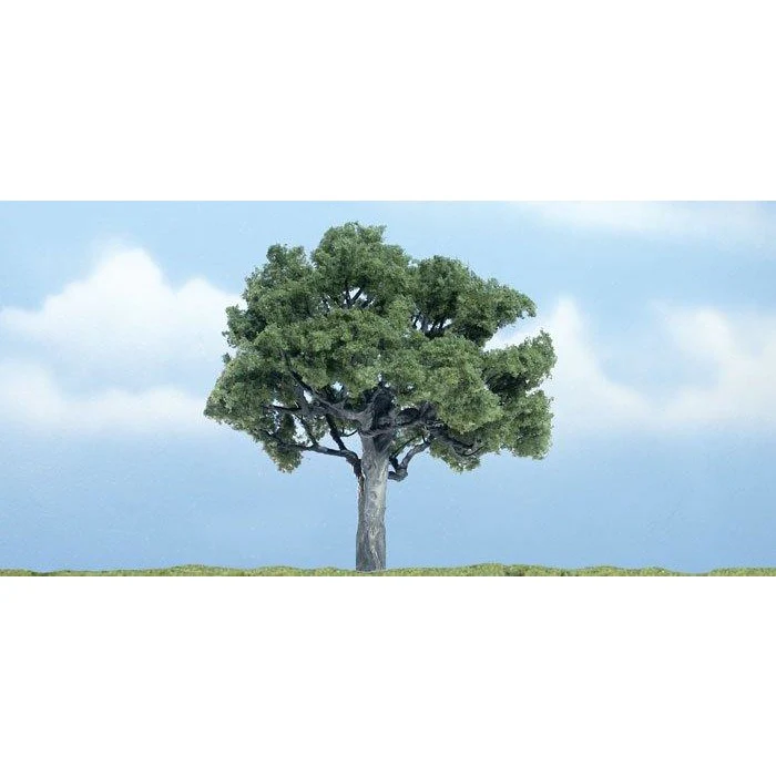 TR1622 Premium Walnut Tree, 4"